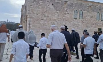 316 مستوطنا إسرائيليا يقتحمون المسجد الأقصى 316 مستوطنا إسرائيليا يقتحمون المسجد الأقصى