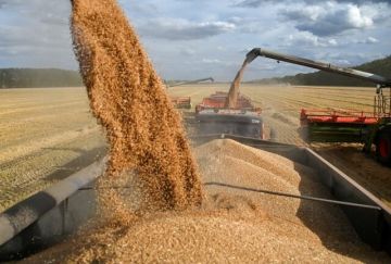 صادرات القمح الروسية تتراجع 37.5 صادرات القمح الروسية تتراجع 37.5