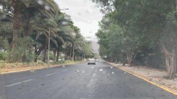 سلطة العقبة تؤكد جاهزية كوادرها وتعلن الطرق سالكة والحركة الملاحية طبيعية سلطة العقبة تؤكد جاهزية كوادرها وتعلن الطرق سالكة والحركة الملاحية طبيعية