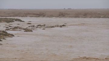 الأرصاد تجدد تحذيرها من أمطار غزيرة جنوب وشرق المملكة