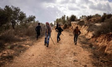 استشهاد فلسطيني وإصابة 12 باعتداءات إسرائيلية على قاطفي الزيتون في الضفة استشهاد فلسطيني وإصابة 12 باعتداءات إسرائيلية على قاطفي الزيتون في الضفة