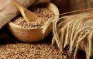الأردن يطرح عطاء لشراء كميات من الشعير