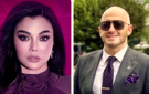 هيفاء وهبي تتحرك قضائيا لمنع بيع فيلاتها
