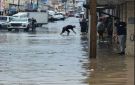 الرمثا تسجل أعلى هطول مطري في إربد بـ 37 ملم خلال 24 ساعة