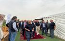 إنجاز أردني جديد: أسمدة MNG الطبيعية من مجموعة المناصير تدعم المحاصيل بمياه أقل وفي أصعب الظروف