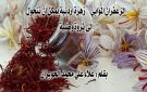 الزعفران المؤابي .. زهرة أردنية يمكن أن تتحول إلى ثروة وطنية