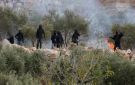 تحذير فلسطيني من انفجار الضفة مع تصاعد اعتداءات المستوطنين
