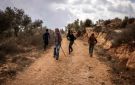 استشهاد فلسطيني وإصابة 12 باعتداءات إسرائيلية على قاطفي الزيتون في الضفة