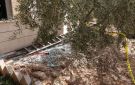 ال المزرعاوي في ماحص وعمان يستنكرون العمل الارهابي في الكرك