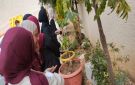 مركز شباب كفر الماء المدمج ينفذ مبادرة اغرسها بنفسك 