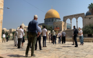مستوطنون يقتحمون المسجد الأقصى