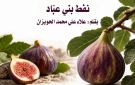 نفط بني عباد .. الذهب الأسود الذي يستحق عناية الوطن