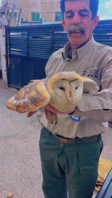 ضبط شخص روج لبيع طيور مهددة بالانقراض عبر مواقع التواصل