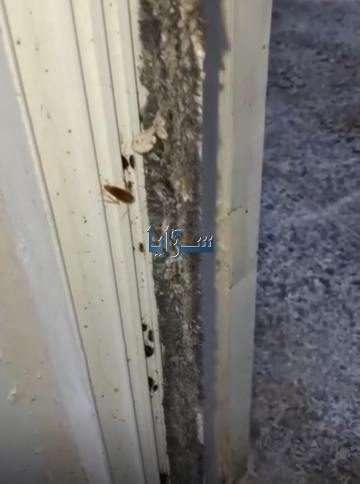 عمان : الغذاء والدواء تغلق مخبزا في أحد المولات لوجود حشرات