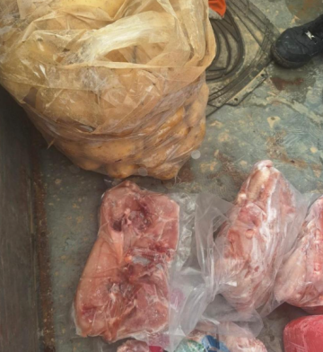 فرق الاستجابة السريعة في الغذاء والدواء تتلف 240 كغم من الدجاج المجمد في إربد فرق الاستجابة السريعة في الغذاء والدواء تتلف 240 كغم من الدجاج المجمد في إربد