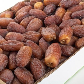 الغذاء والدواء تغلق مصنع تعبئة تمور وتضبط 5 أطنان منتهية الصلاحية