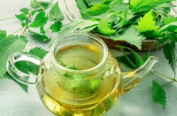 فوائد الشاي الأخضر وأسراره الصحية على الجسم والعقل