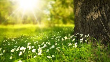 انقلاب جوي حاد على الطقس .. !