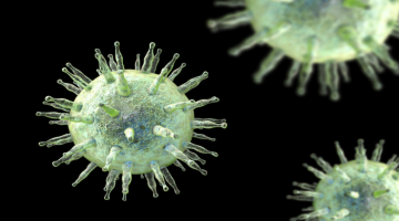 علماء يطورون أجساما مضادة واعدة للوقاية من فيروس إبستاين بار