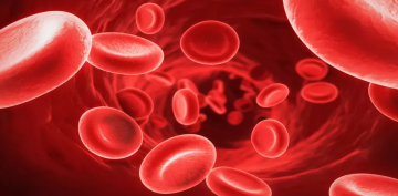 فقر الدم في رمضان .. هل الصيام آمن؟ .. نصائح غذائية مهمة