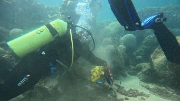 حملة ميدانية لتنظيف قاع البحر وشواطئ العقبة بمشاركة الأمن العام وحماية البيئة