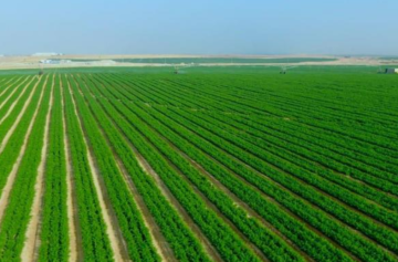 دراسة تحليلية للمجلس الاقتصادي توصي بتطوير الزراعة الأردنية عبر التحول الرقمي وتعزيز البحث العلمي