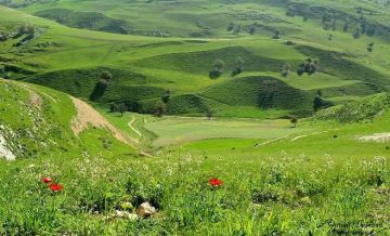 الأرصاد: شباط الحالي أعلى حرارة من المعدل مع هطولات مطرية حول الطبيعي