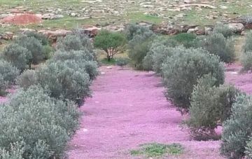 الأربعاء .. أجواء باردة نسبيا فوق المرتفعات ونشاط للرياح المثيرة للغبار بعد الظهر الأربعاء .. أجواء باردة نسبيا فوق المرتفعات ونشاط للرياح المثيرة للغبار بعد الظهر