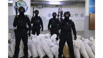 بالأرقام .. الأمن العام يتلف كميات كبيرة من المواد المخدرة في 148 قضية بالأرقام .. الأمن العام يتلف كميات كبيرة من المواد المخدرة في 148 قضية