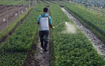 بدعم الربح التشغيلي.. مبيدكو تحقق نتائج مالية سنوية إيجابية عام 2025 بدعم الربح التشغيلي.. مبيدكو تحقق نتائج مالية سنوية إيجابية عام 2025