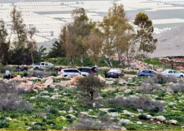 ربيع مبكر في عجلون يعزز الحركة السياحية وموسم التبقل