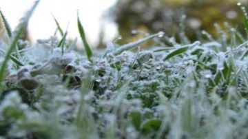 الأرصاد الجوية: طقس شديد البرودة ليلا .. وتحذير من تشكل الصقيع