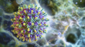 ضمن الأمراض ذات الأولوية القصوى.. تعرف على فيروس نيباه