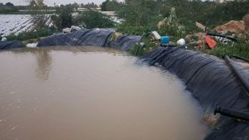 المياه تنفذ حملة أمنية في الشونة الجنوبية وتضبط بئرا مخالفة المياه تنفذ حملة أمنية في الشونة الجنوبية وتضبط بئرا مخالفة