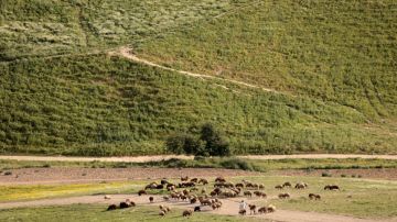 انخفاض طفيف في درجات الحرارة وأجواء باردة نسبيا الأربعاء عاجل