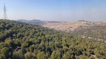 ارتفاع مساحة المحميات الطبيعية بنسبة 2.3 خلال 10 سنوات