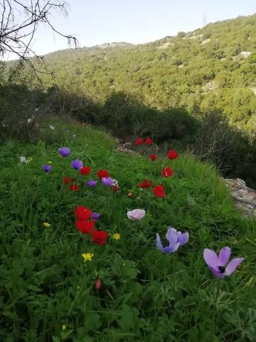 الثلاثاء .. طقس لطيف في معظم المناطق ونشاط للرياح المثيرة للغبار بعد الظهر