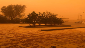 الغبار والاسعار يتحالفان ضد العشاق الأردنيين في عيدهم الغبار والاسعار يتحالفان ضد العشاق الأردنيين في عيدهم