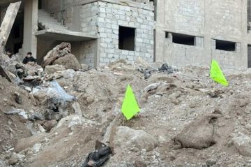 العثور على مقبرة جماعية بحي التضامن في دمشق