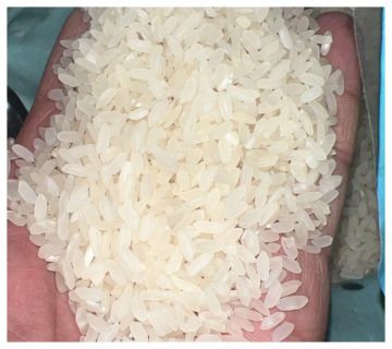 الغذاء والدواء تبدأ حملة رقابية على معامل الأرز استعدادا لرمضان .. فيديو الغذاء والدواء تبدأ حملة رقابية على معامل الأرز استعدادا لرمضان .. فيديو