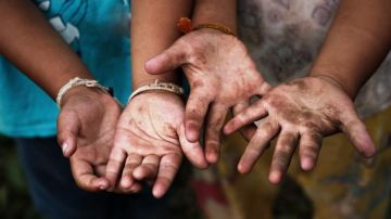 مركز حقوق الإنسان: 75 ألف طفل توثق أنهم يعملون بصورة غير قانونية مركز حقوق الإنسان: 75 ألف طفل توثق أنهم يعملون بصورة غير قانونية