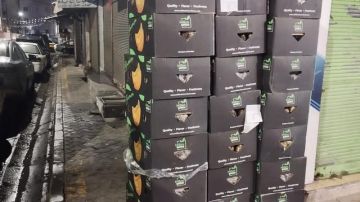 إتلاف كميات كبيرة من البطاطا والموز غير المطابقة للمواصفات في إربد إتلاف كميات كبيرة من البطاطا والموز غير المطابقة للمواصفات في إربد