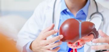 هذا دور الكوليسترول في تدهور صحة الكبد.. باحثون يحذرون