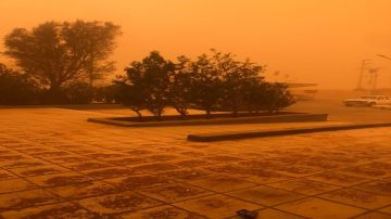 الأرصاد: عاصفة غبارية تتجه نحو الأردن وتدني الرؤية جنوبا