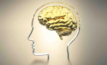 الجفاف بهذه النسبة يكفي لتعطيل دماغك.. اكتشف سر الترطيب العميق