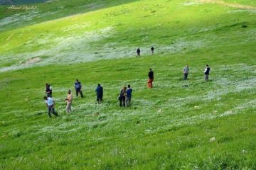 ارتفاع واضح على درجات الحرارة مع تزايد الغبار خلال ساعات العصر