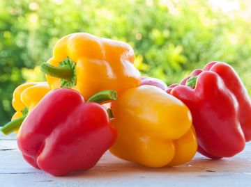 الفلفل الملون في رمضان: فوائد صحية وغذائية لا تقدر بثمن