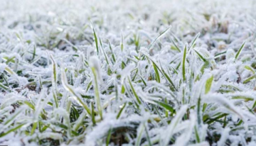 طقس بارد لأيام .. وتحذيرات من تشكل الصقيع