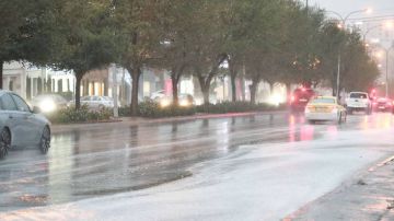 من الدفء إلى الأمطار .. تفاصيل طقس الأردن في الأسبوع الأول من فبراير من الدفء إلى الأمطار .. تفاصيل طقس الأردن في الأسبوع الأول من فبراير