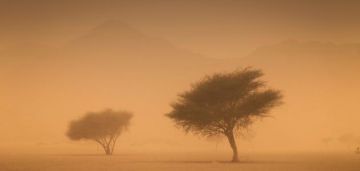 عواصف رملية في الأزرق والصفاوي .. وانعدام الرؤية الافقية عواصف رملية في الأزرق والصفاوي .. وانعدام الرؤية الافقية